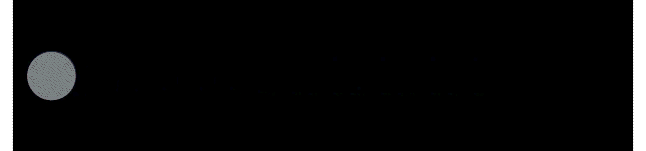saleh ammar logo